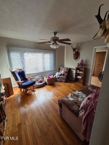 1162 Ridgecrest Avenue, Kingsport, TN 37665