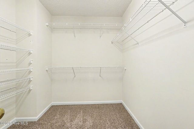 127 Churchill Downs Drive, Clayton, NC 27520