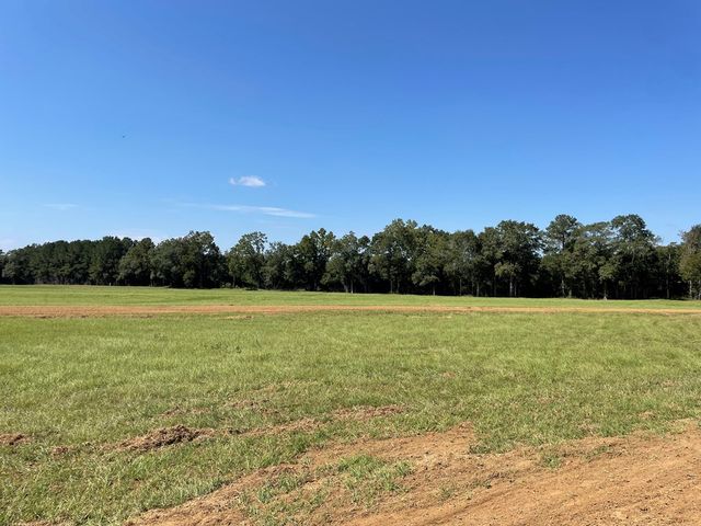 Parcel 3 Iris Road, Dothan, AL 36301