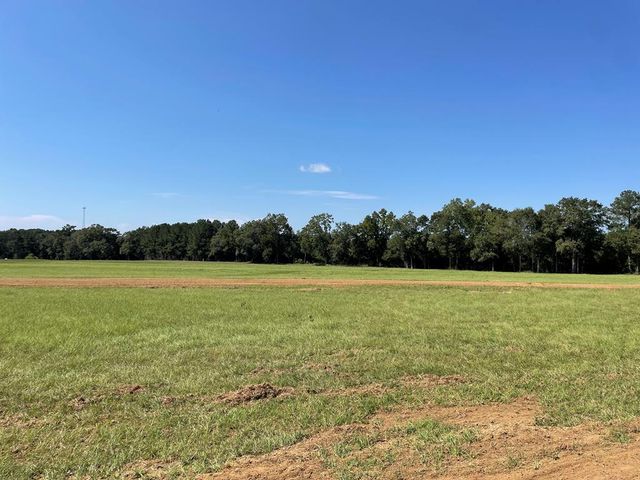 Parcel 3 Iris Road, Dothan, AL 36301