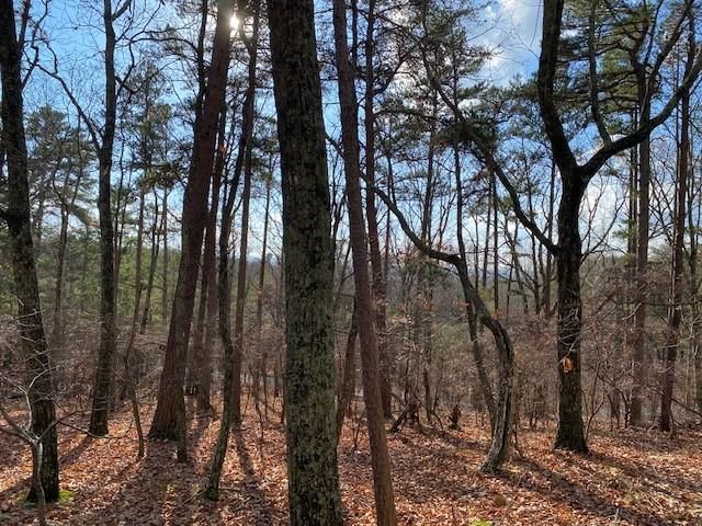 0 Quail Way, Jasper, GA 30143