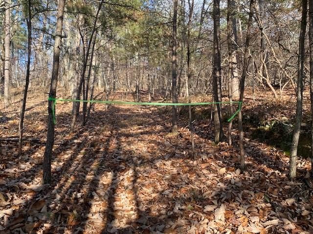 0 Quail Way, Jasper, GA 30143