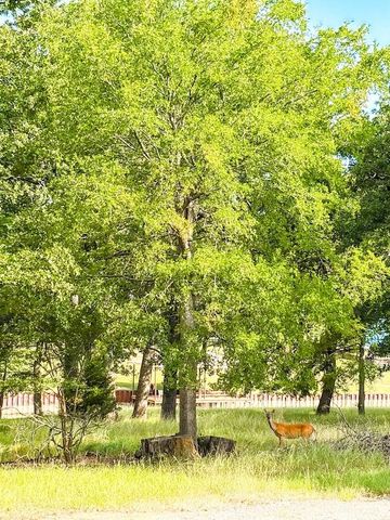 14216 Clark Drive, Streetman, TX 75859