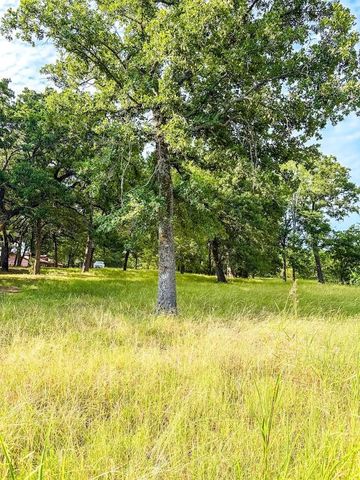 14216 Clark Drive, Streetman, TX 75859