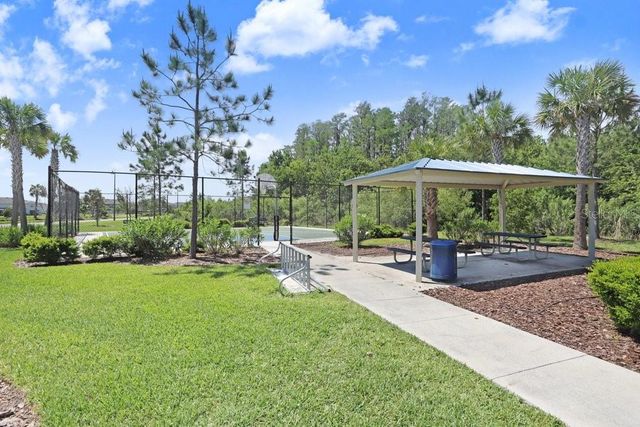 3044 SUNCOAST PLAINS DRIVE, Odessa, FL 33556