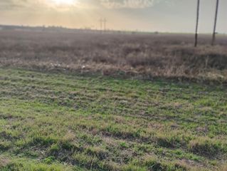 TBD FM 1915 S. 8TH ST, Buckholts, TX 76518