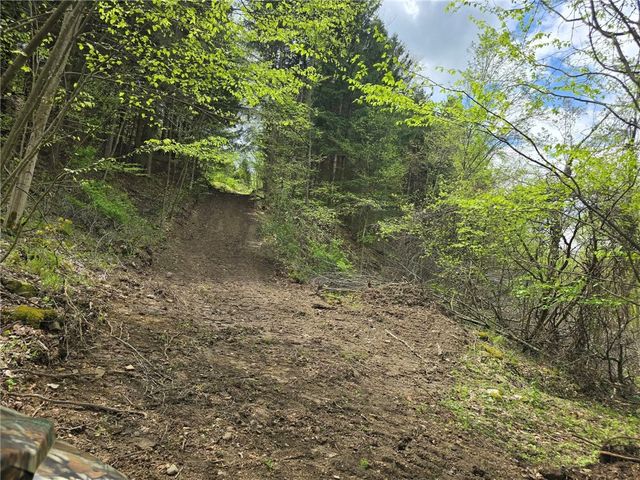 0 Lower Mudlic Rd, Redbank Twp, PA 16240