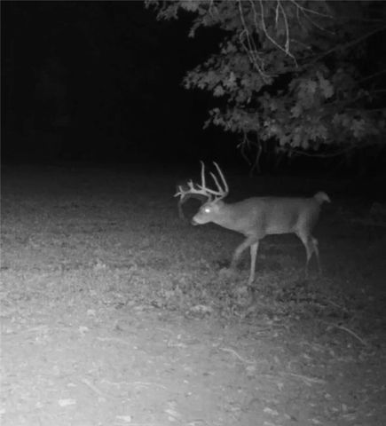 0 Lower Mudlic Rd, Redbank Twp, PA 16240