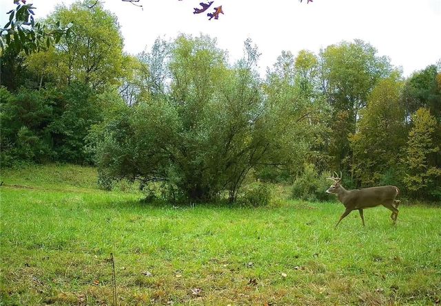 0 Lower Mudlic Rd, Redbank Twp, PA 16240