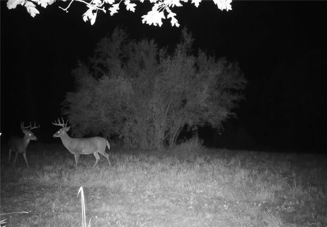 0 Lower Mudlic Rd, Redbank Twp, PA 16240