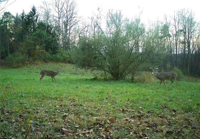 0 Lower Mudlic Rd, Redbank Twp, PA 16240