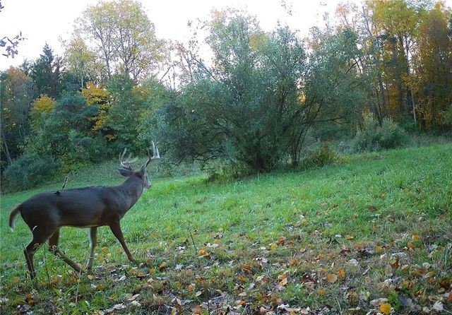 0 Lower Mudlic Rd, Redbank Twp, PA 16240