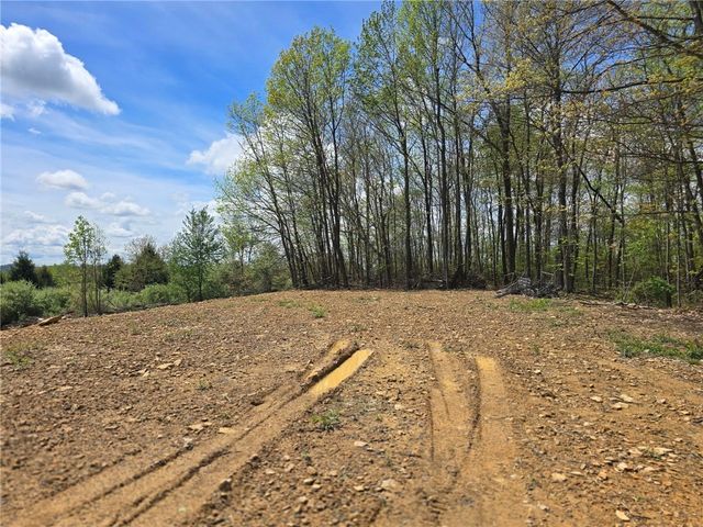 0 Lower Mudlic Rd, Redbank Twp, PA 16240