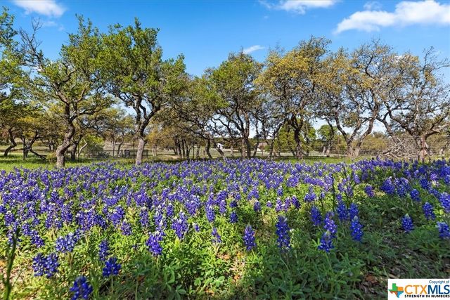300 Logans Way, Blanco, TX 78606