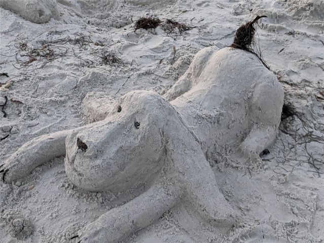 825 E GULF BOULEVARD 110, Indian Rocks Beach, FL 33785