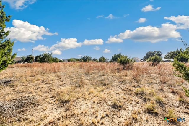 115 Jacob Dearing, Blanco, TX 78606