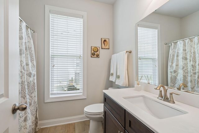 208 Red Knot Lane, Mount Pleasant, SC 29464