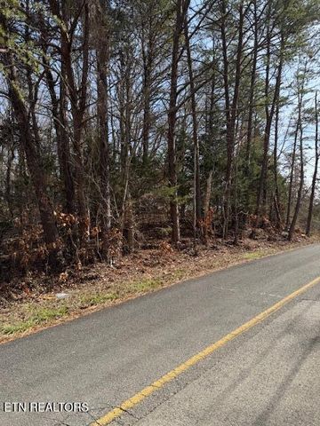 Lot 1191 Tree Line Lane, Baneberry, TN 37890