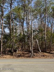 Lot 1191 Tree Line Lane, Baneberry, TN 37890
