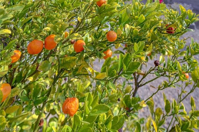 676 Suguaro Bluffs Street, Henderson, NV 89014