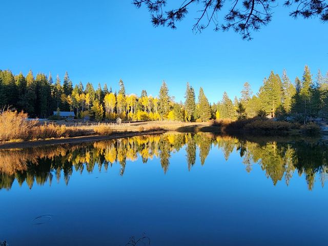 1283 Mountain View Rd, Tamarack, CA 95223