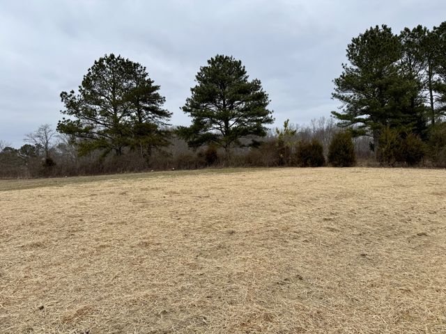 235 Ralph Spivey Lane, S, Gainesboro, TN 38562