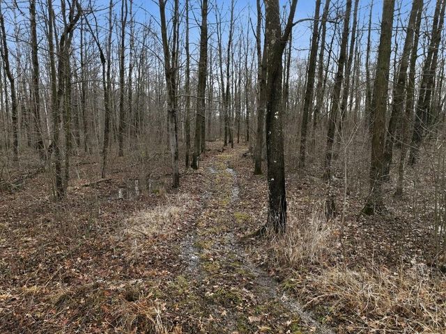 15595 170th Street, Jim Falls, WI 54748