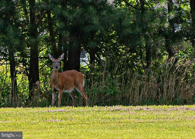 10214 BATTLE COLORS LN, Berlin, MD 21811
