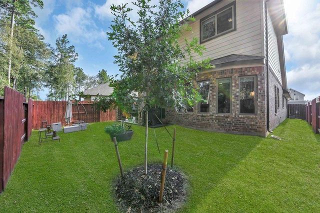 17455 Vino Vines Lane, Conroe, TX 77302