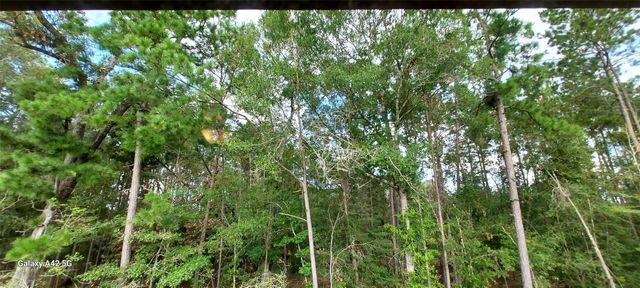 17455 Vino Vines Lane, Conroe, TX 77302