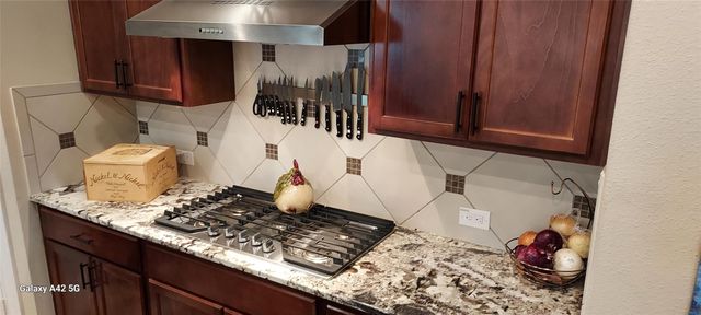 17455 Vino Vines Lane, Conroe, TX 77302