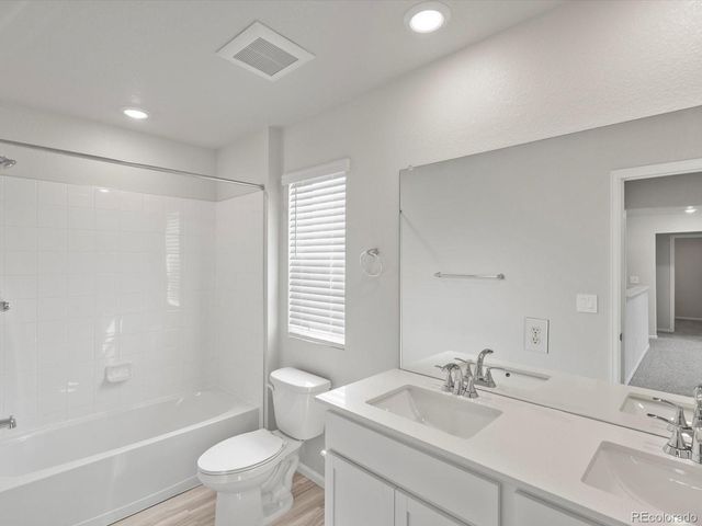 1593 Colorado River Drive, Windsor, CO 80550