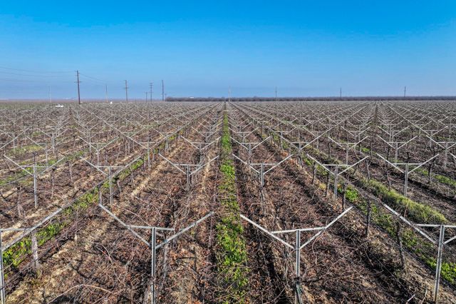 Avenue 56, Earlimart, CA 93219