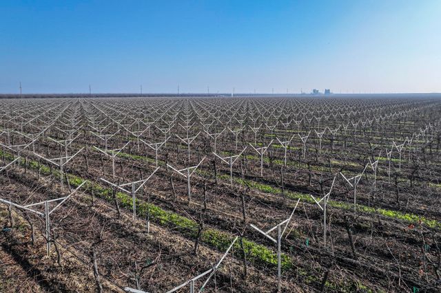 Avenue 56, Earlimart, CA 93219