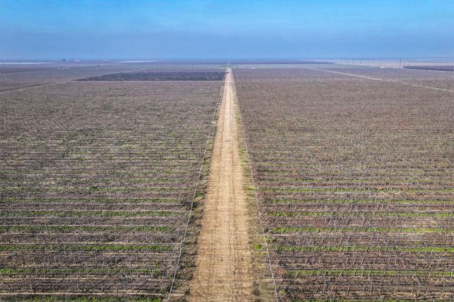 Avenue 56, Earlimart, CA 93219