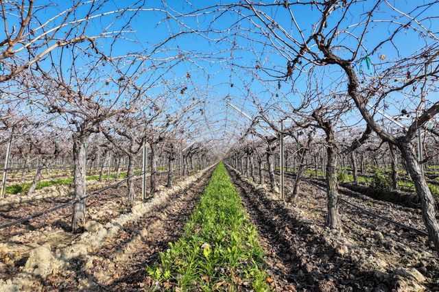 Avenue 56, Earlimart, CA 93219