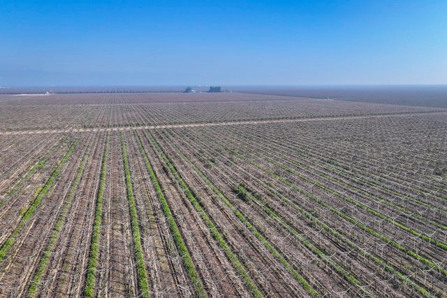 Avenue 56, Earlimart, CA 93219