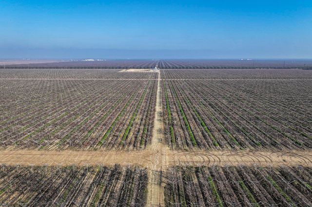 Avenue 56, Earlimart, CA 93219