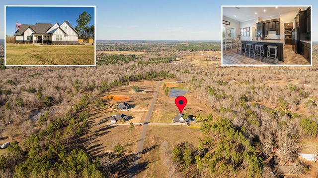 148 Eagle Creek Dr., Diana, TX 75640