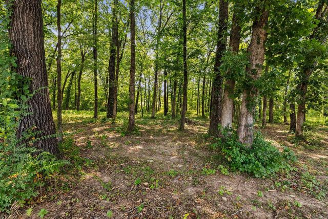 92 Garrison, Greenbrier, AR 72058