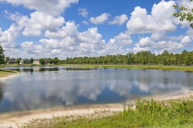 18876 BEAUTYBERRY COURT, Lutz, FL 33558