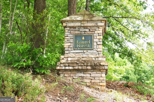 24 Lake Laurel Drive, Dahlonega, GA 30533