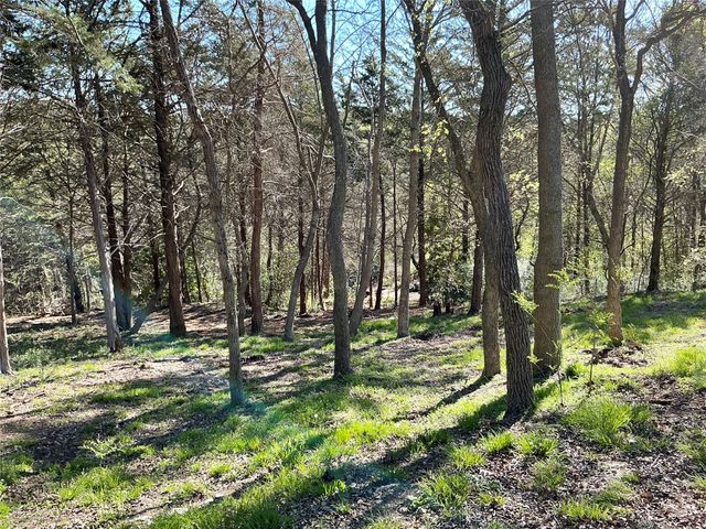 TBD Quail Creek Circle, Pottsboro, TX 75076