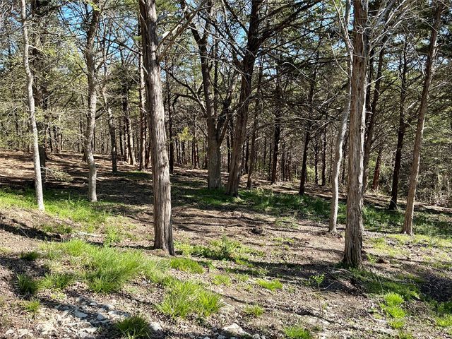 TBD Quail Creek Circle, Pottsboro, TX 75076