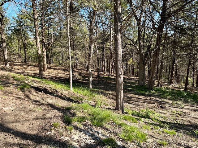 TBD Quail Creek Circle, Pottsboro, TX 75076