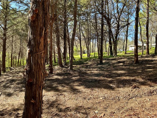 TBD Quail Creek Circle, Pottsboro, TX 75076