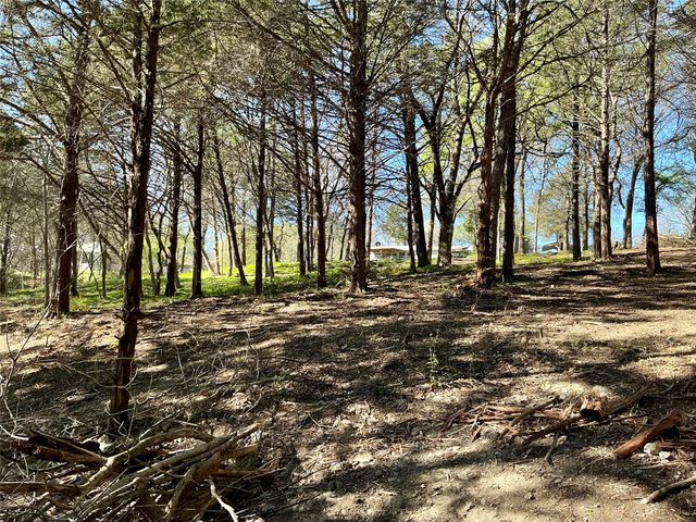 TBD Quail Creek Circle, Pottsboro, TX 75076