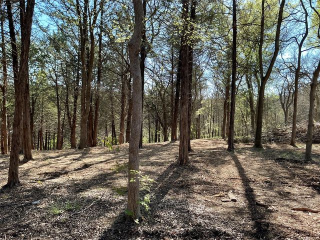 TBD Quail Creek Circle, Pottsboro, TX 75076