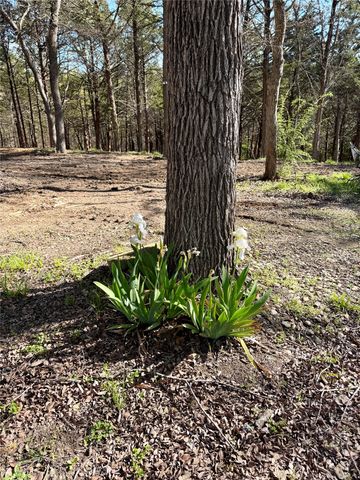 TBD Quail Creek Circle, Pottsboro, TX 75076