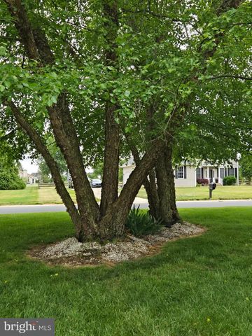 347 GOLF LINKS, Magnolia, DE 19962